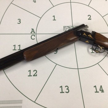 Bettinsoli 12 Gauge Evolution 30" M/C